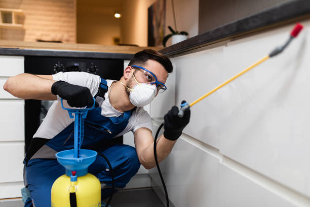 Flea Control Services in Port St Lucie, FL