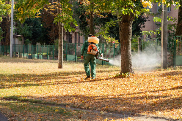 Best Mosquito Control Services  in Port St Lucie, FL