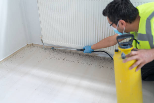 Best Commercial Pest Control Services  in Port St Lucie, FL